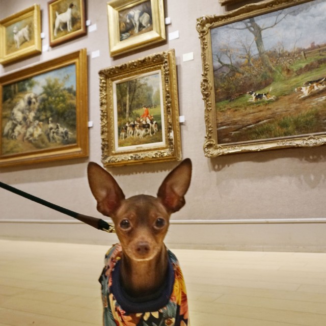 Little Bill was all ears waiting for the bidding to begin