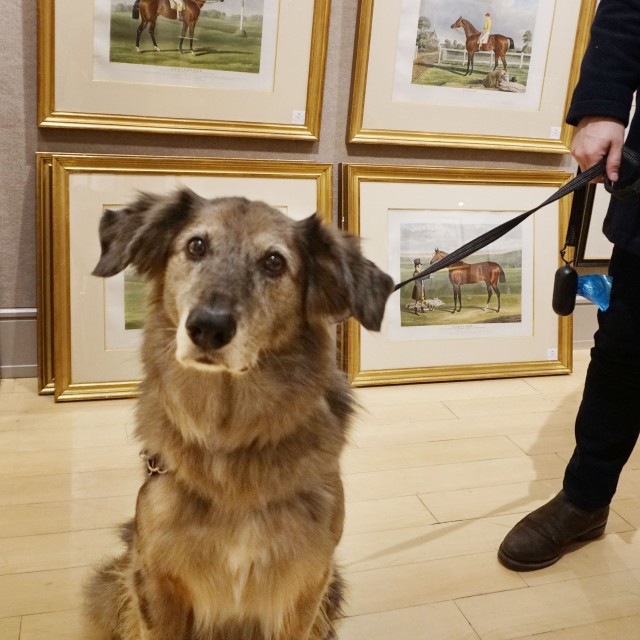 Gatsby ponders his top bid