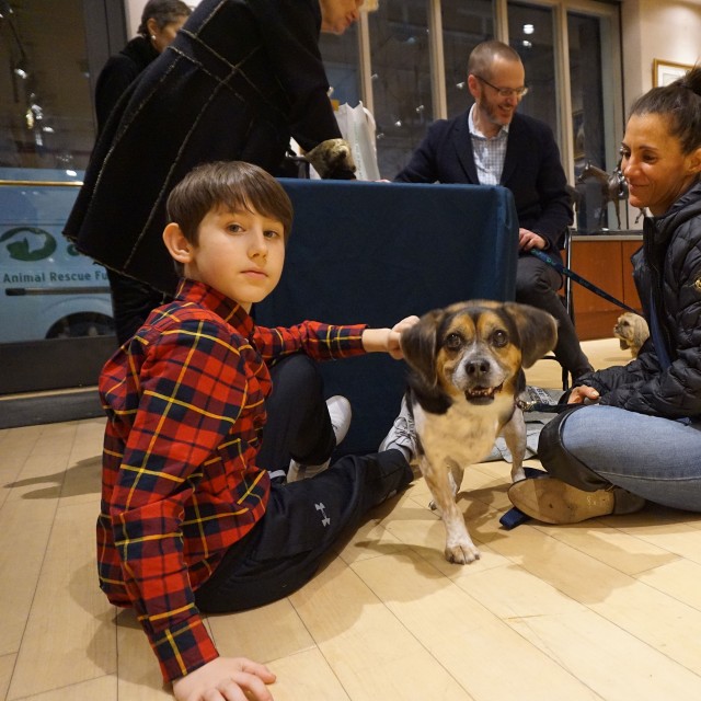 A young collector with Windsor, one of the dogs from ARF