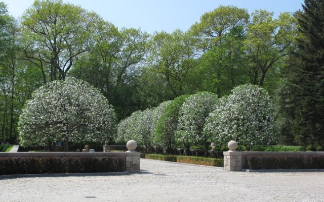 A Visit to Chateau Ridge