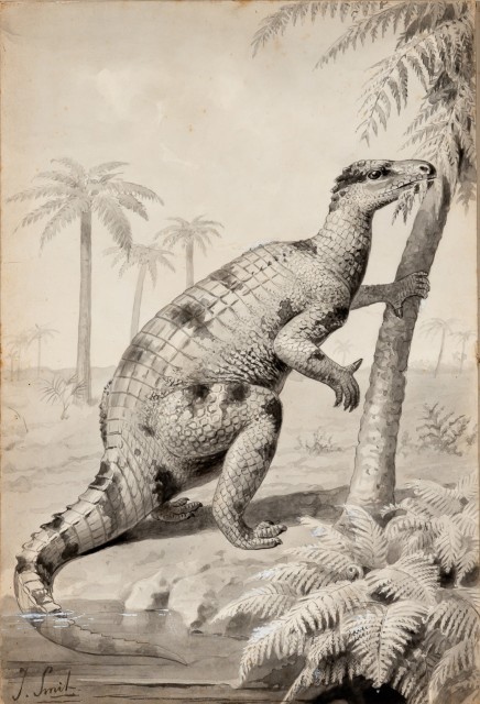 Joseph Smit (Dutch, 1836-1929), Iguanodon, Watercolor and gouache on paper, 10 5/8 x 7 1/4 inches. Lot 69. Auction July 29, 2021.