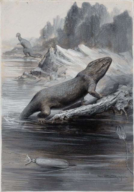 Charles Whymper (British, 1853-1941), A Triassic Labrynthodont, and Belemnite, Watercolor and gouache on paper, 9 7/8 x 6 7/8 inches. Lot 79. Auction July 29, 2021. 