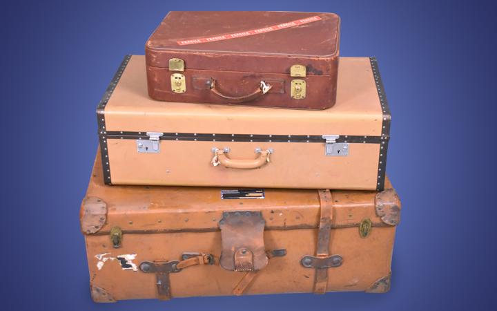 Shopping at Hayloft Auctions! 